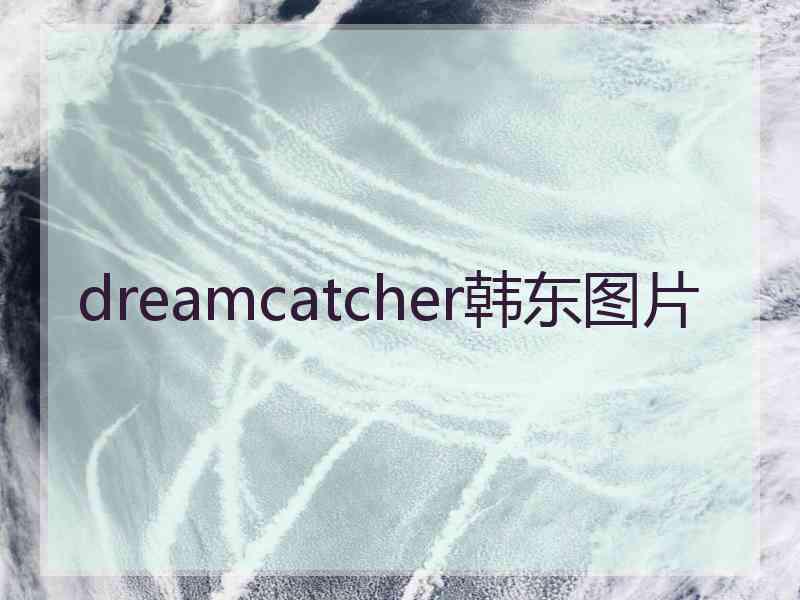 dreamcatcher韩东图片