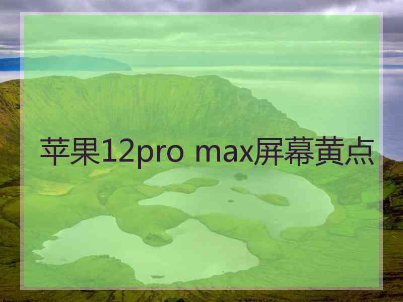 苹果12pro max屏幕黄点