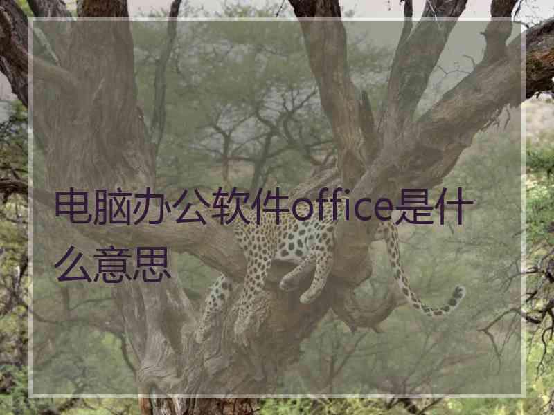 电脑办公软件office是什么意思