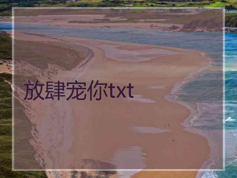 放肆宠你txt