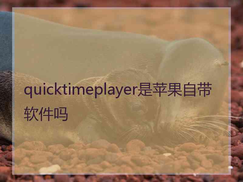 quicktimeplayer是苹果自带软件吗