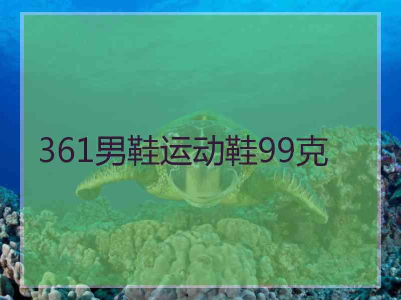 361男鞋运动鞋99克