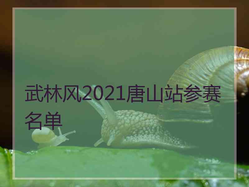 武林风2021唐山站参赛名单