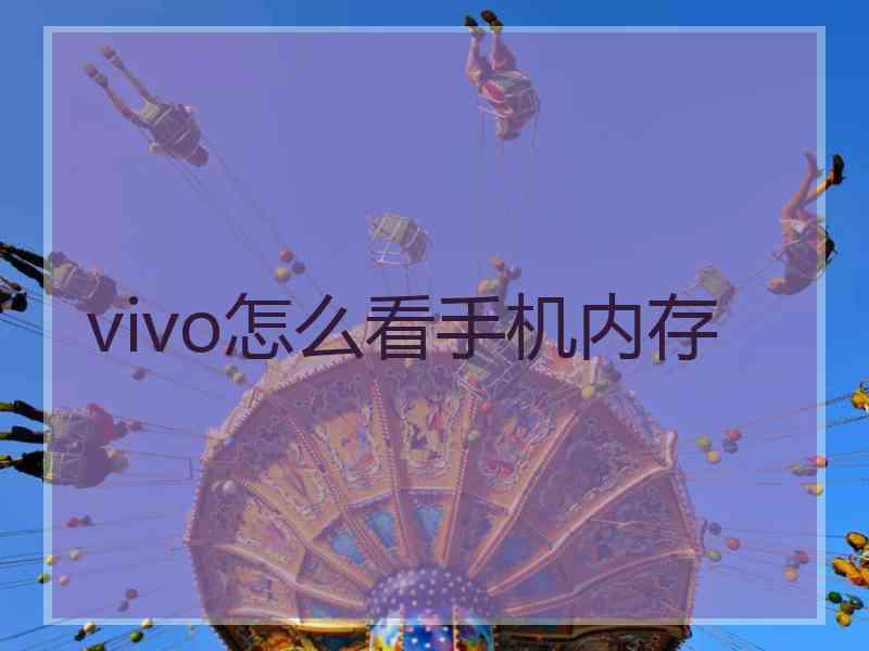 vivo怎么看手机内存