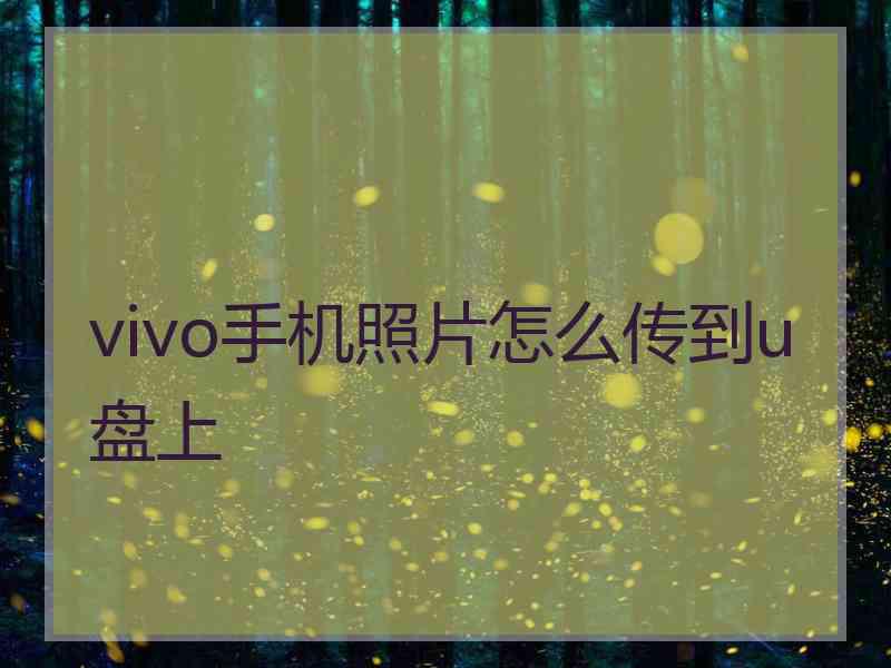 vivo手机照片怎么传到u盘上