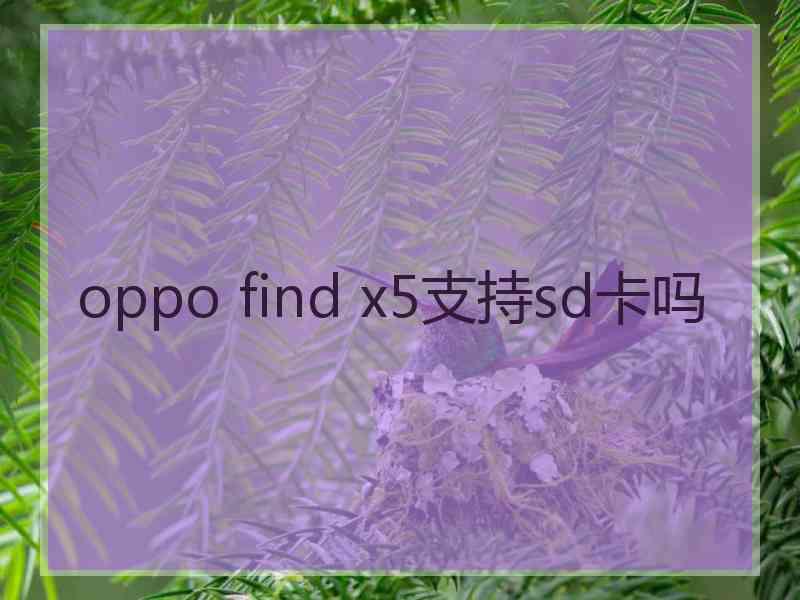 oppo find x5支持sd卡吗