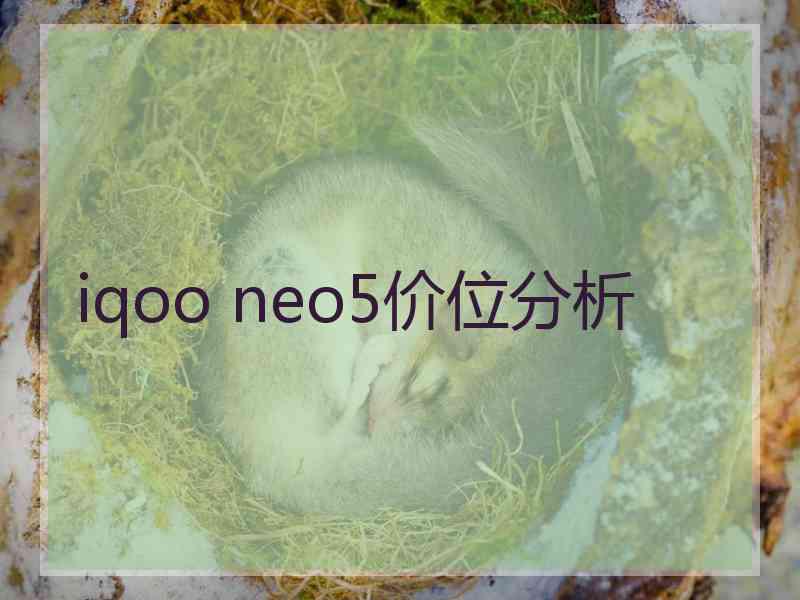 iqoo neo5价位分析