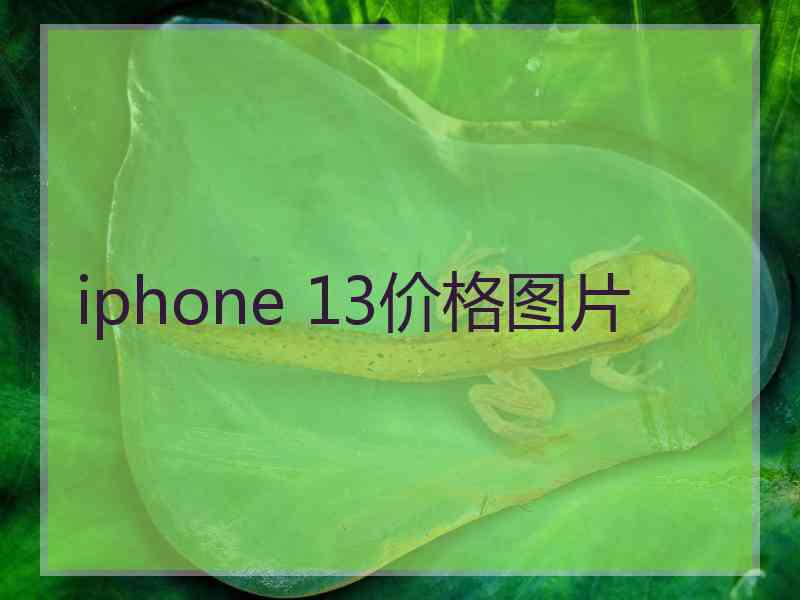 iphone 13价格图片