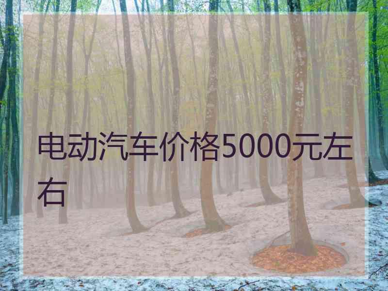 电动汽车价格5000元左右