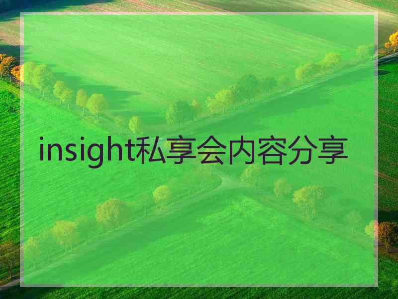 insight私享会内容分享