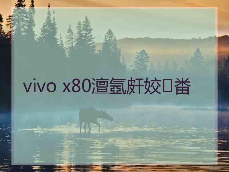 vivo x80澶氬皯姣畨