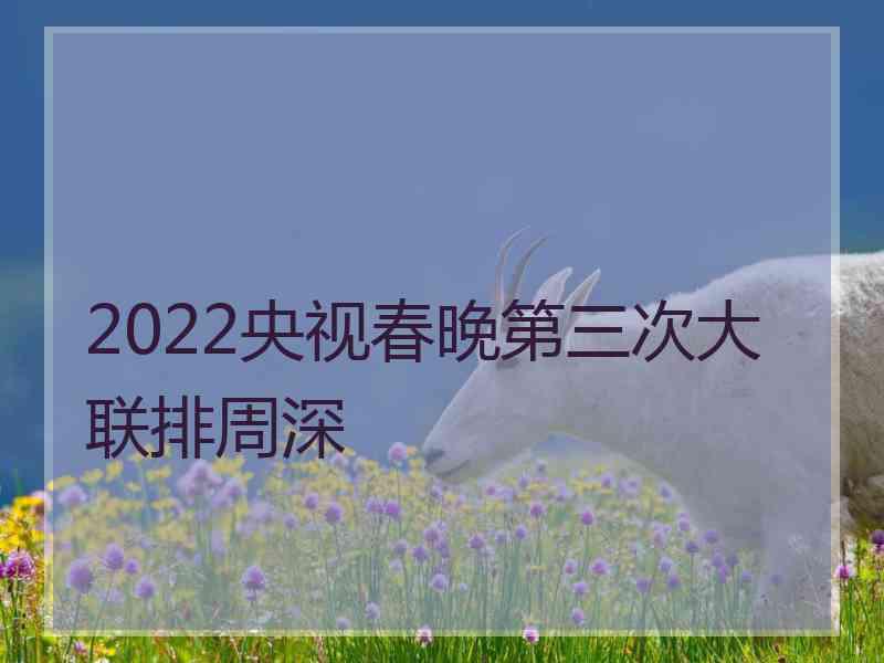 2022央视春晚第三次大联排周深