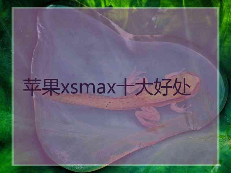 苹果xsmax十大好处