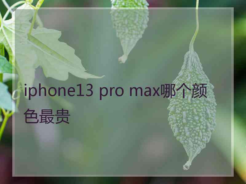 iphone13 pro max哪个颜色最贵