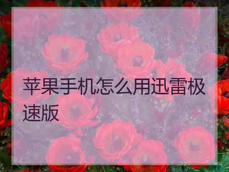 苹果手机怎么用迅雷极速版