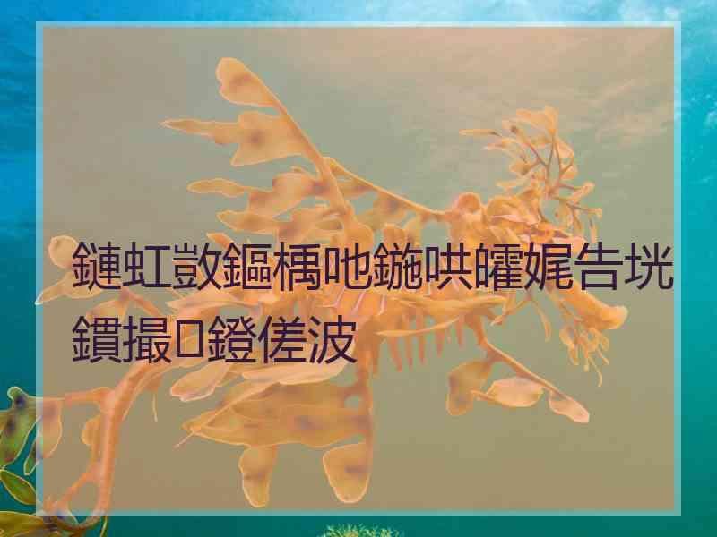 鏈虹敳鏂楀吔鍦哄皬娓告垙鏆撮鐙傞波