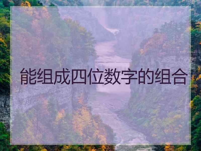 能组成四位数字的组合