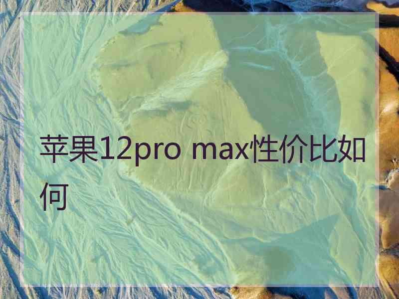 苹果12pro max性价比如何