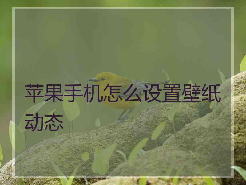 苹果手机怎么设置壁纸动态