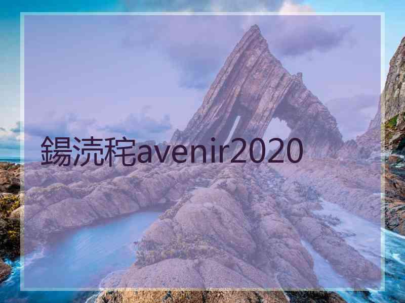 鍚涜秺avenir2020