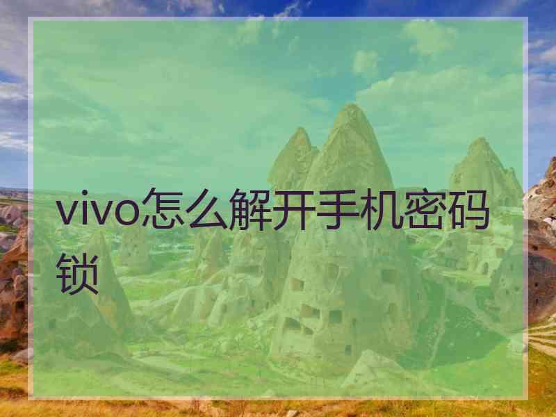 vivo怎么解开手机密码锁