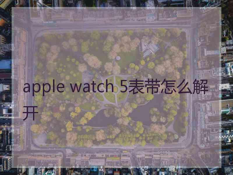 apple watch 5表带怎么解开