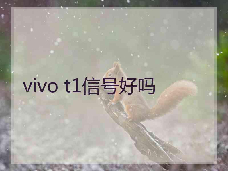 vivo t1信号好吗