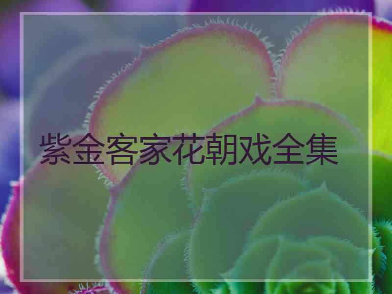 紫金客家花朝戏全集