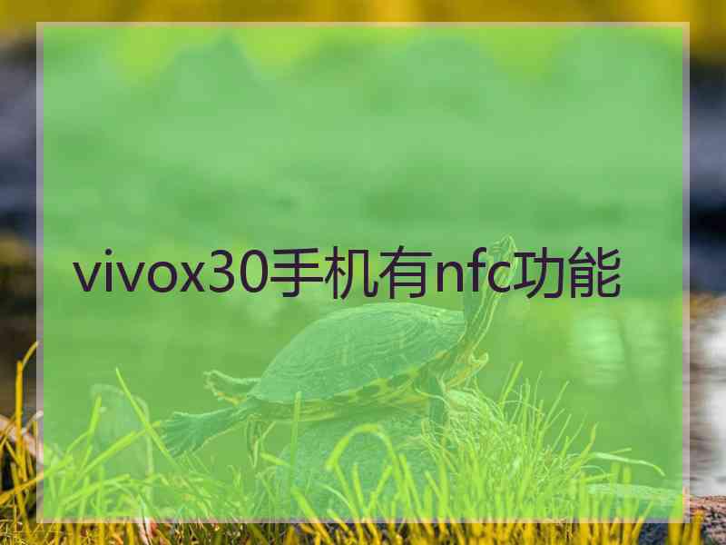 vivox30手机有nfc功能