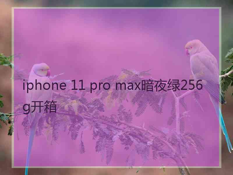 iphone 11 pro max暗夜绿256g开箱