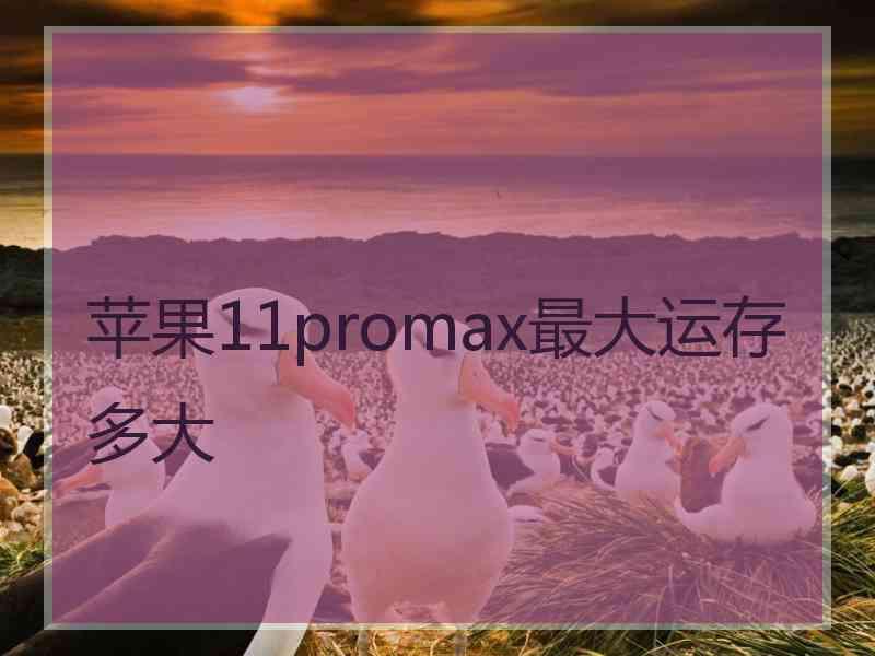 苹果11promax最大运存多大