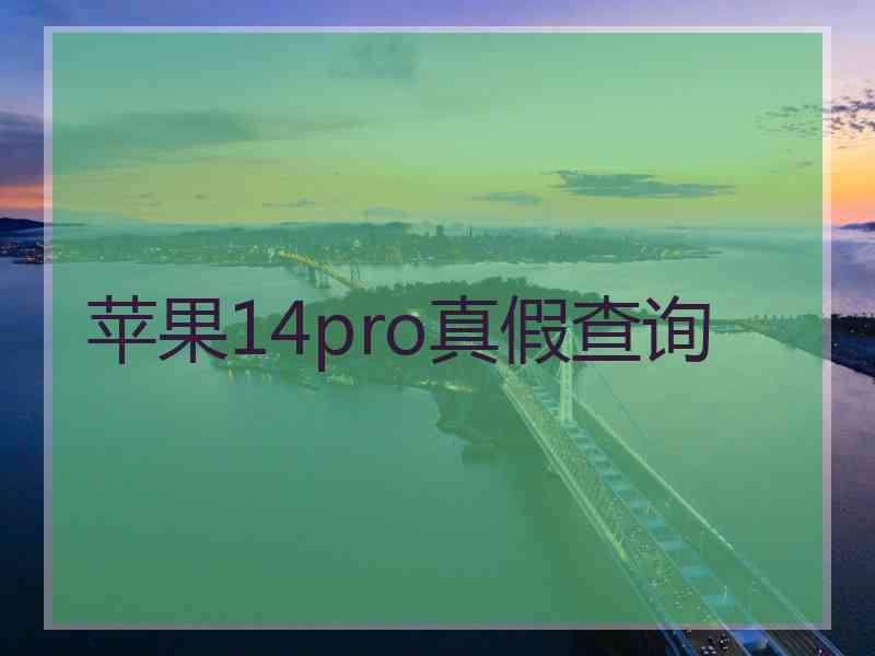 苹果14pro真假查询