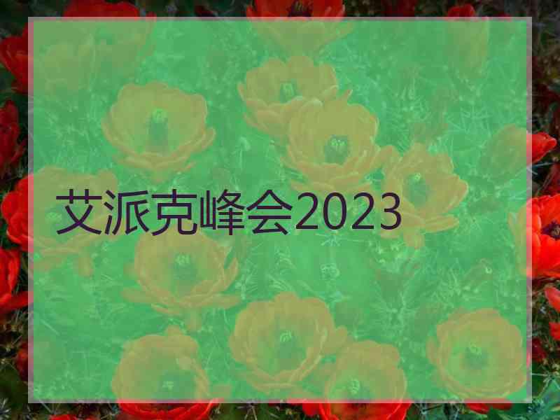 艾派克峰会2023