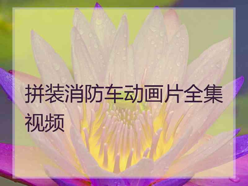 拼装消防车动画片全集视频