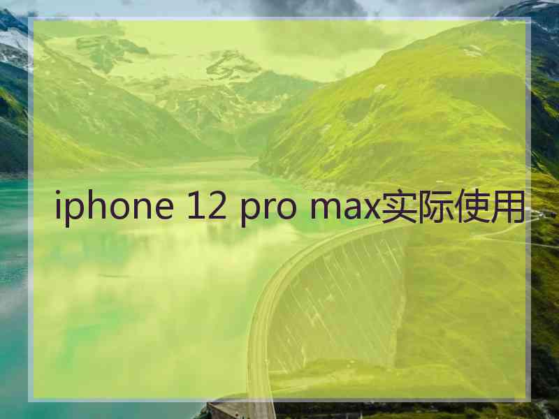 iphone 12 pro max实际使用