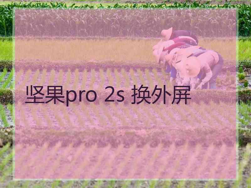 坚果pro 2s 换外屏