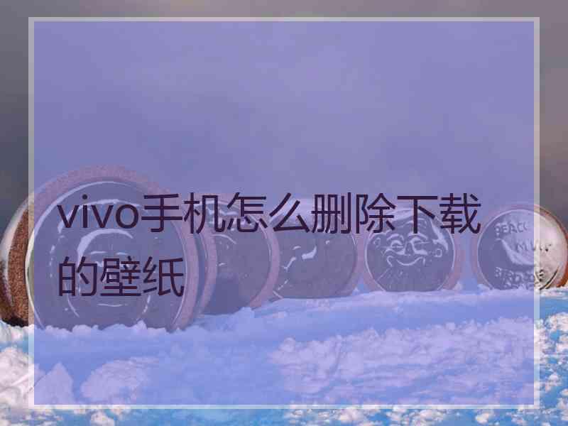 vivo手机怎么删除下载的壁纸