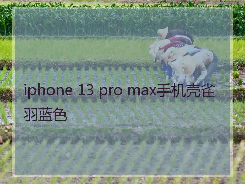 iphone 13 pro max手机壳雀羽蓝色