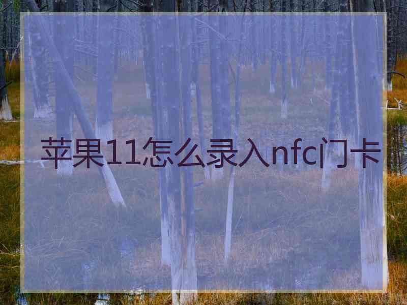 苹果11怎么录入nfc门卡