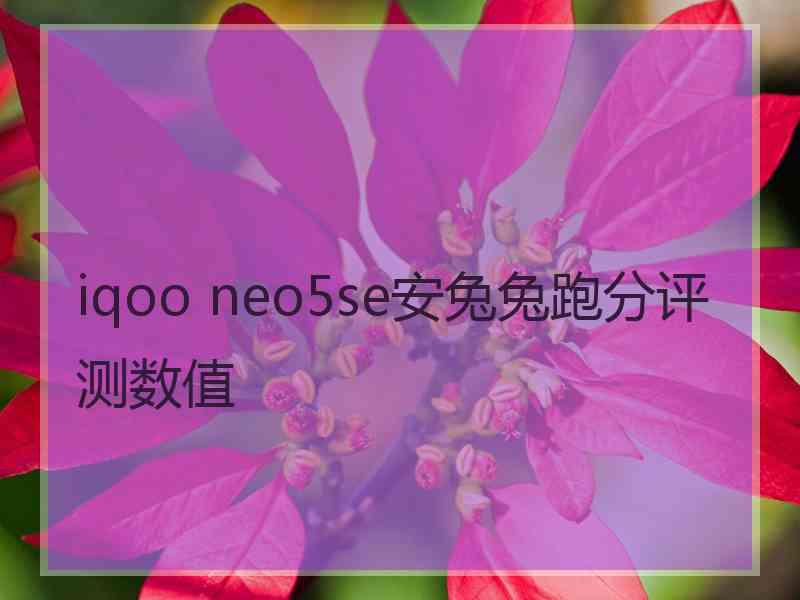 iqoo neo5se安兔兔跑分评测数值