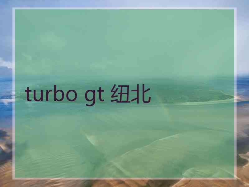 turbo gt 纽北