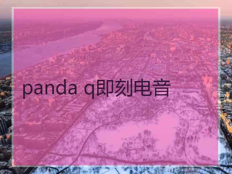 panda q即刻电音