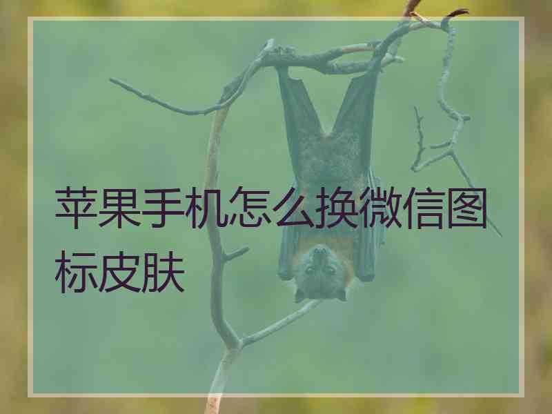 苹果手机怎么换微信图标皮肤