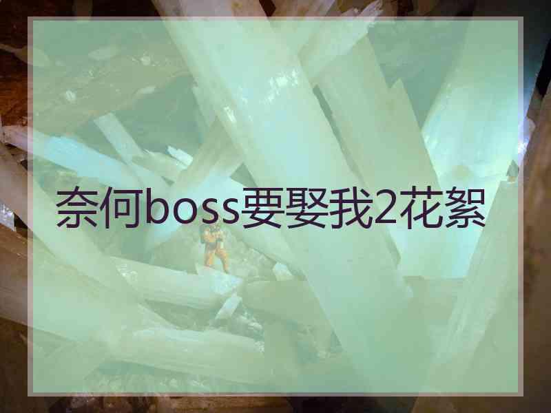 奈何boss要娶我2花絮