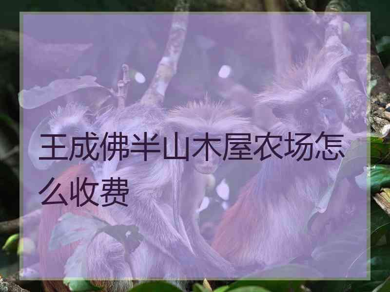 王成佛半山木屋农场怎么收费