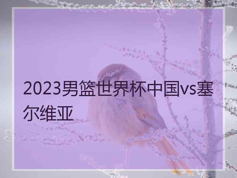 2023男篮世界杯中国vs塞尔维亚