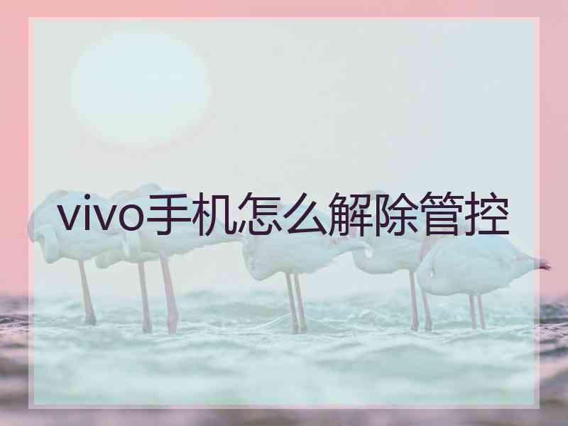 vivo手机怎么解除管控