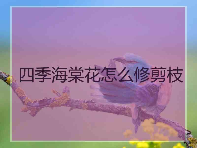 四季海棠花怎么修剪枝