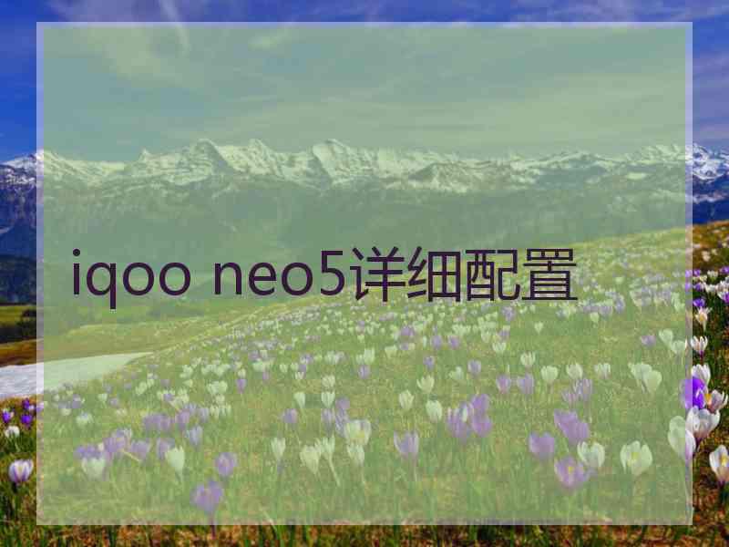 iqoo neo5详细配置