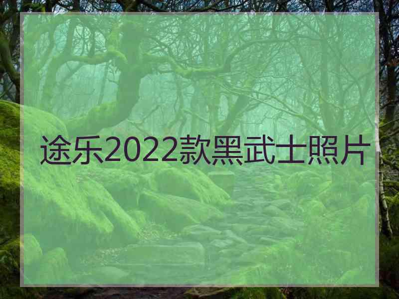 途乐2022款黑武士照片